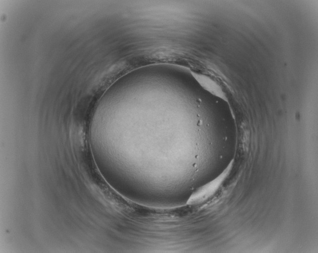 X0000066090597200603171057