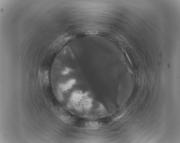 X0000066090598200603171057