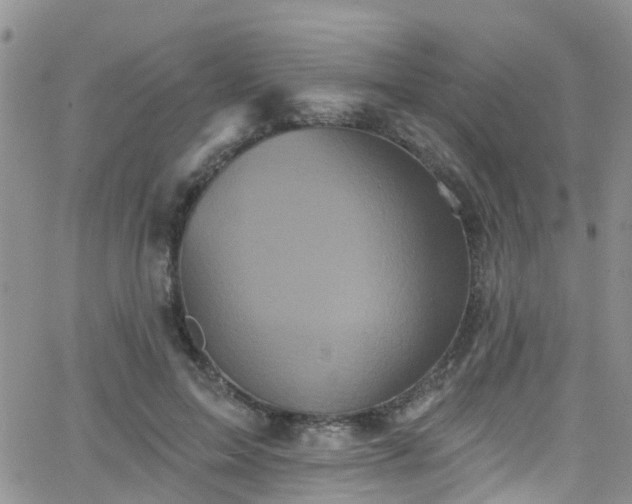 X0000066090599200603171057