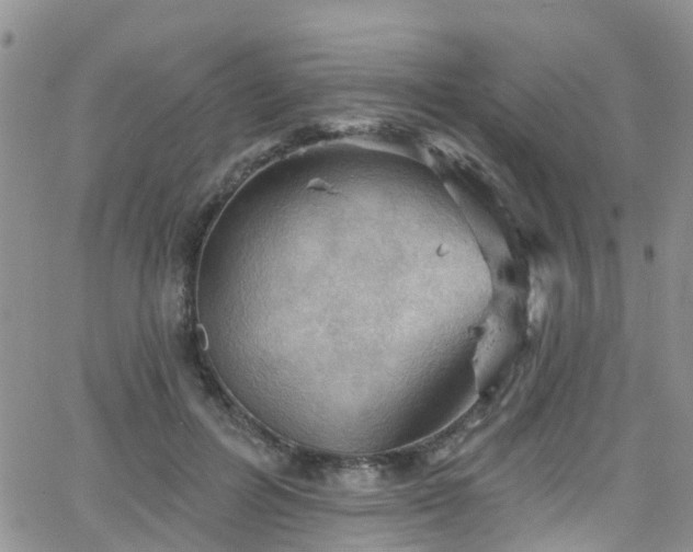 X0000066090600200603171057