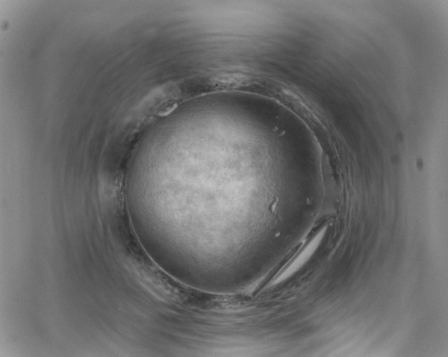 X0000066090601200603171057