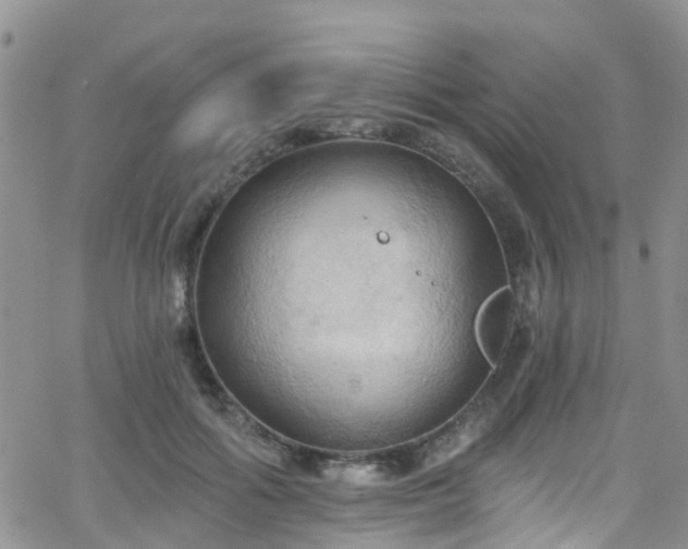 X0000066090602200603171057