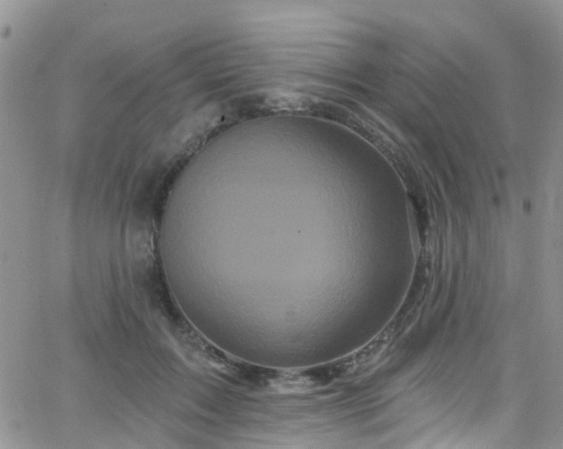 X0000066090603200603171057