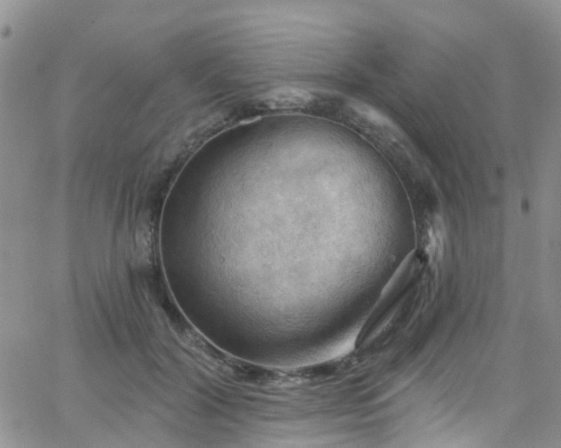 X0000066090604200603171057