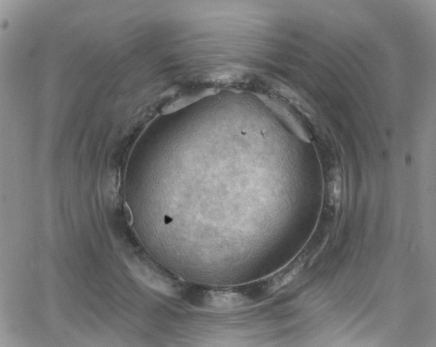 X0000066090605200603171057