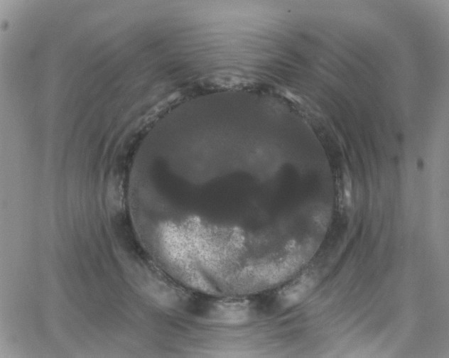 X0000066090606200603171057