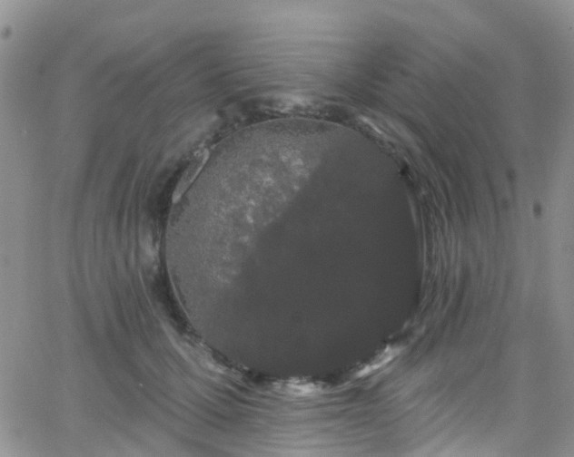 X0000066090607200603171057