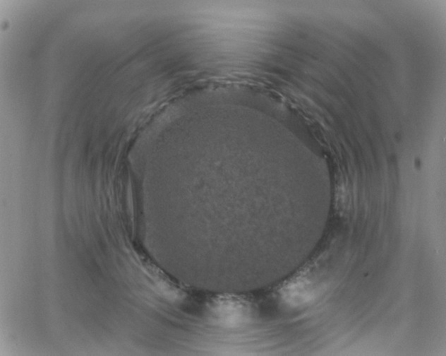 X0000066090608200603171057