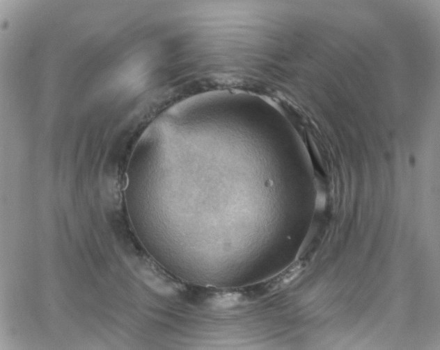 X0000066090609200603171057