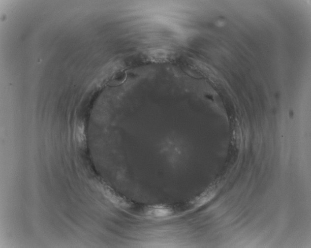 X0000066090610200603171057