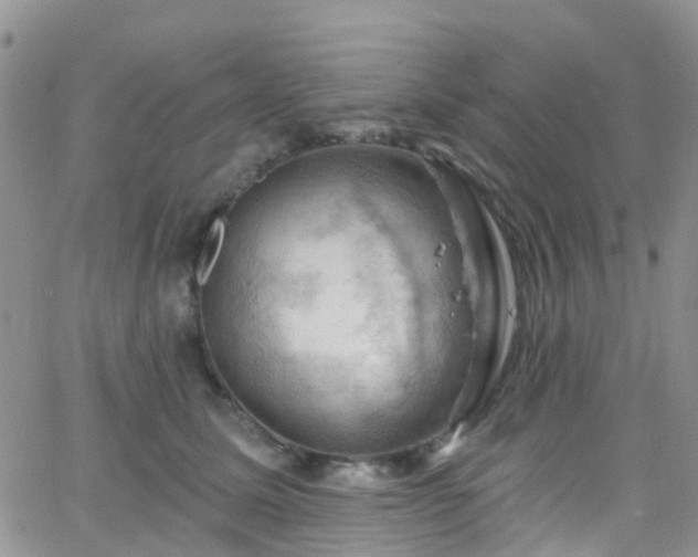 X0000066090611200603171057