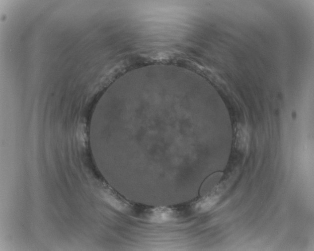 X0000066090612200603171057