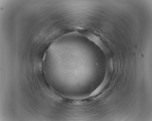 X0000066090613200603171057