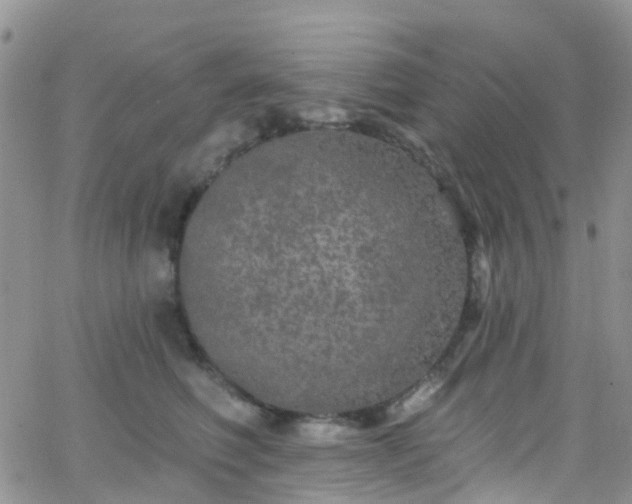 X0000066090614200603171057