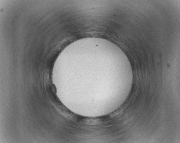 X0000066090615200603171057