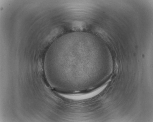 X0000066090616200603171057