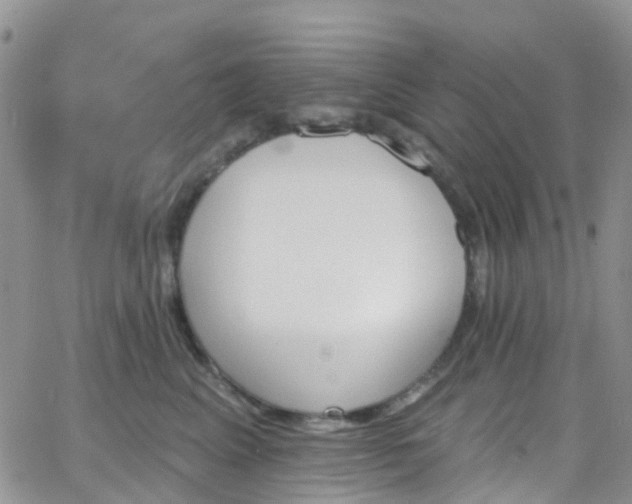 X0000066090617200603171057