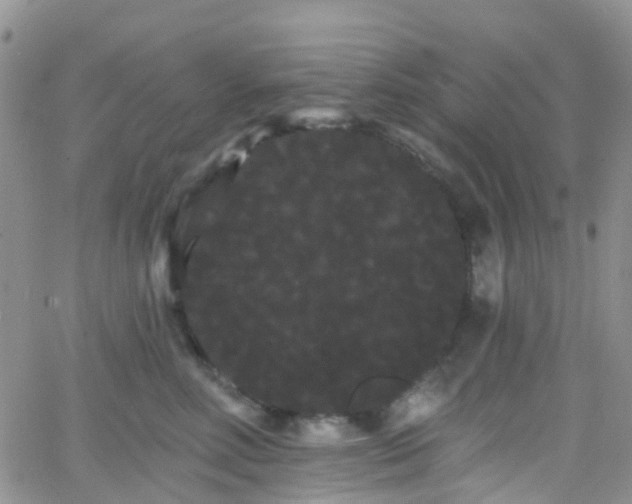 X0000066090618200603171057