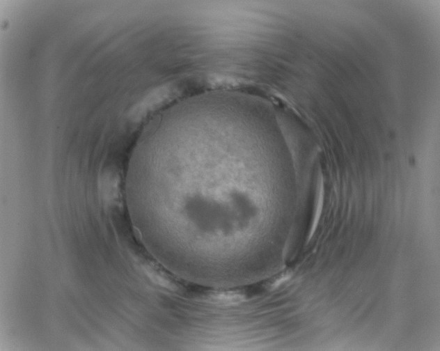 X0000066090619200603171057