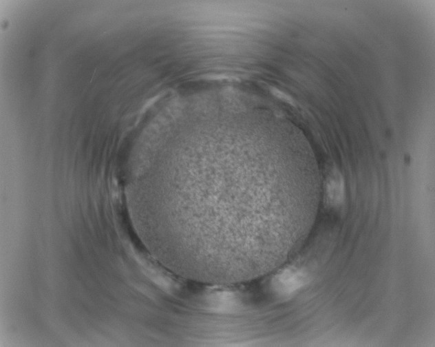 X0000066090620200603171057