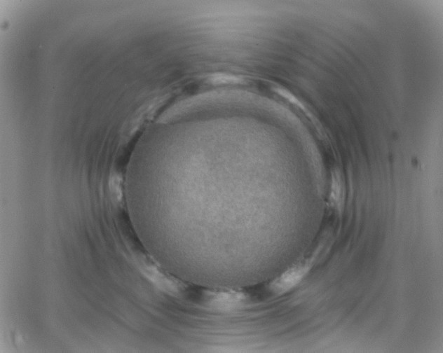 X0000066090621200603171057