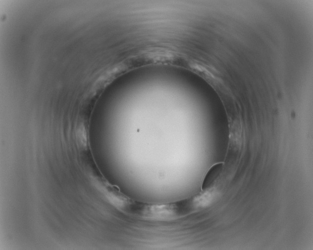 X0000066090622200603171057