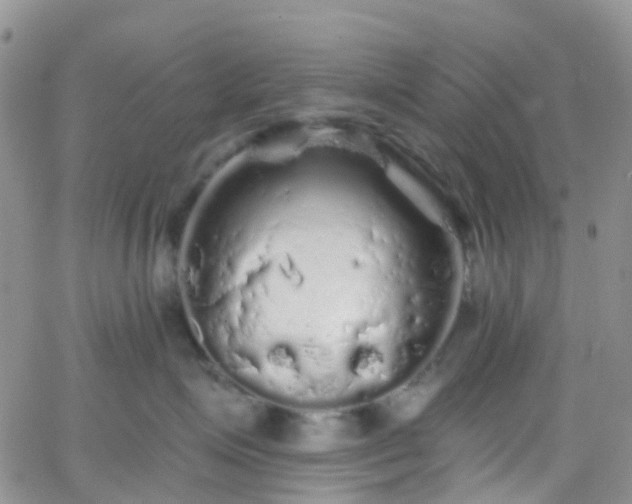 X0000066090623200603171057