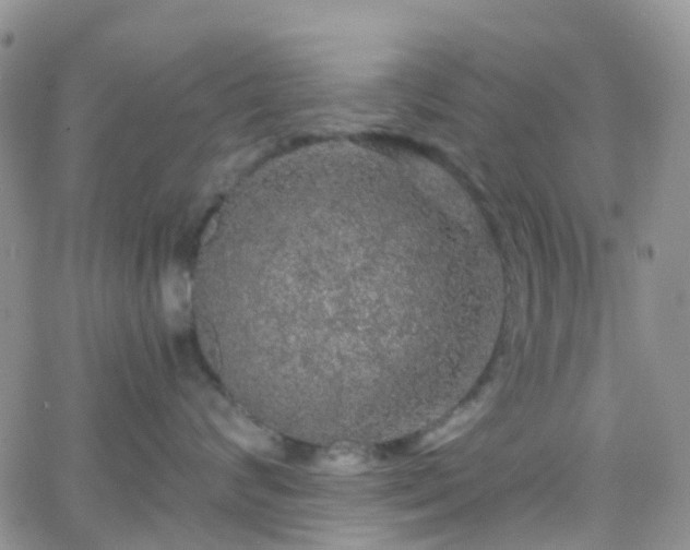 X0000066090624200603171057