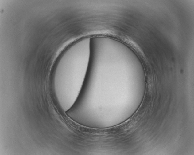 X0000066090628200603171056