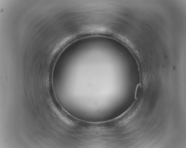 X0000066090629200603171056