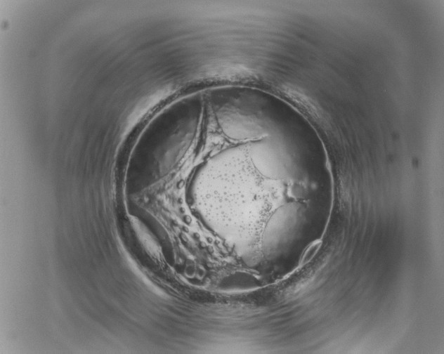 X0000066090630200603171056