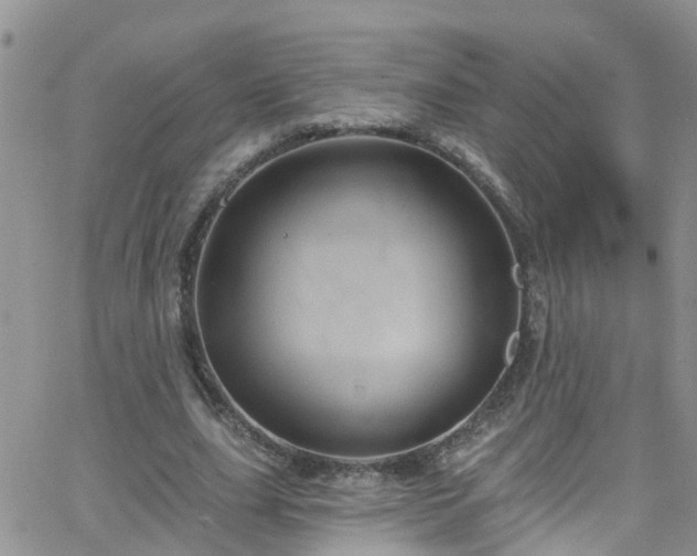 X0000066090631200603171056