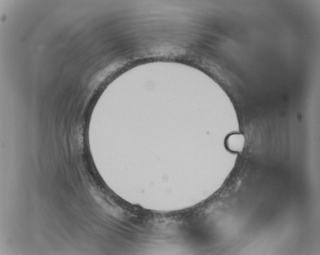 X0000066090632200603171056