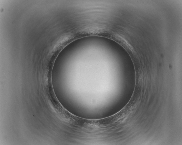 X0000066090635200603171056