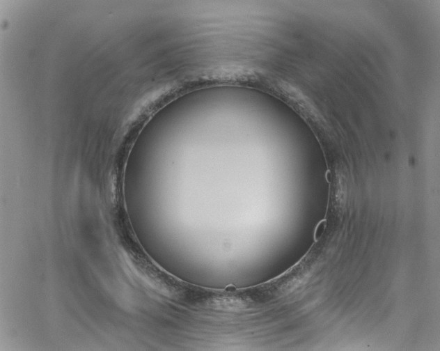 X0000066090636200603171056