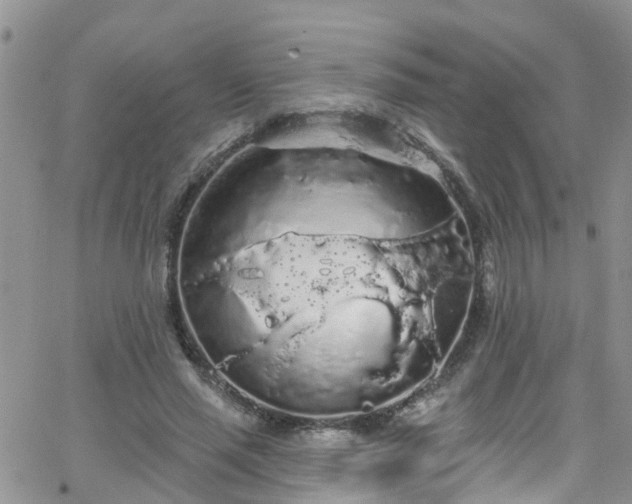 X0000066090637200603171056