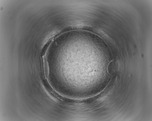 X0000066090638200603171056