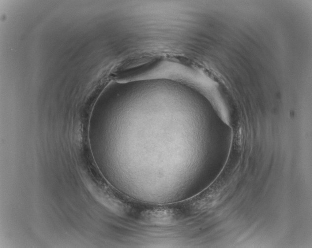 X0000066090639200603171056