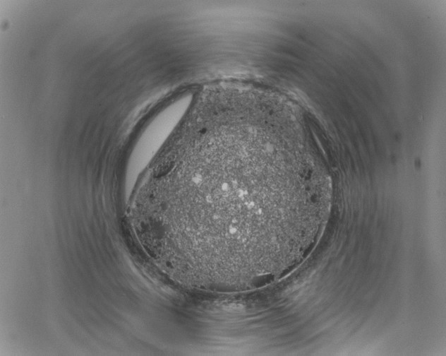 X0000066090640200603171056