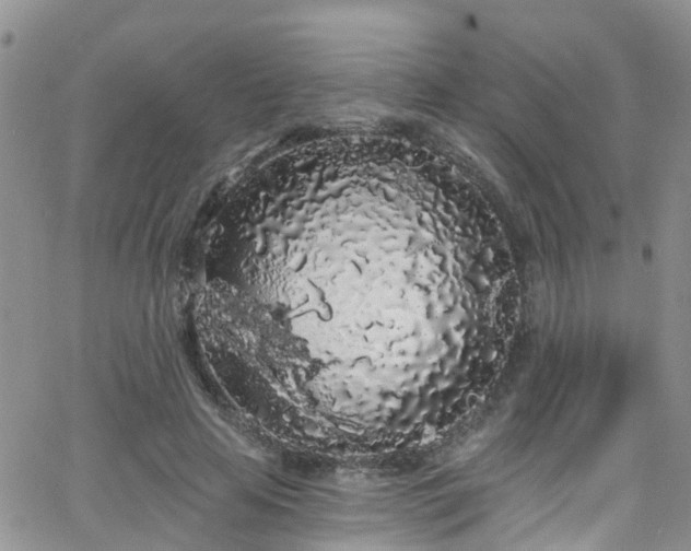 X0000066090641200603171056