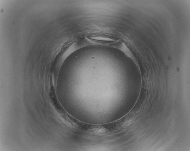 X0000066090642200603171056