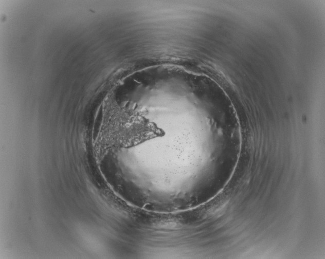 X0000066090643200603171056