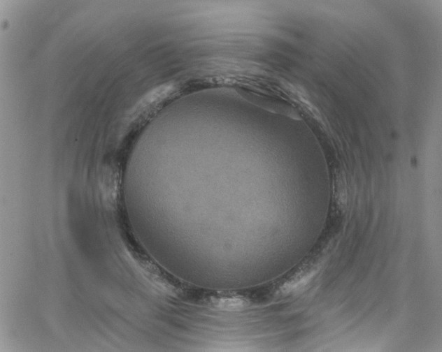 X0000066090645200603171056