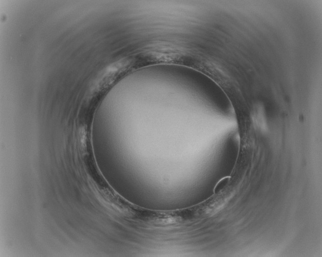 X0000066090646200603171056