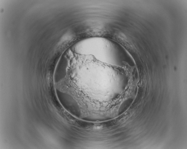 X0000066090647200603171056