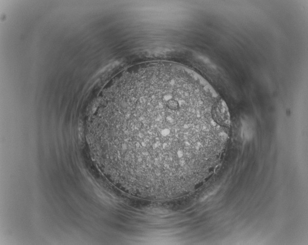 X0000066090648200603171056