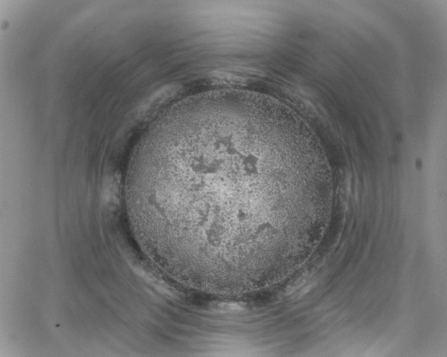 X0000066090649200603171056