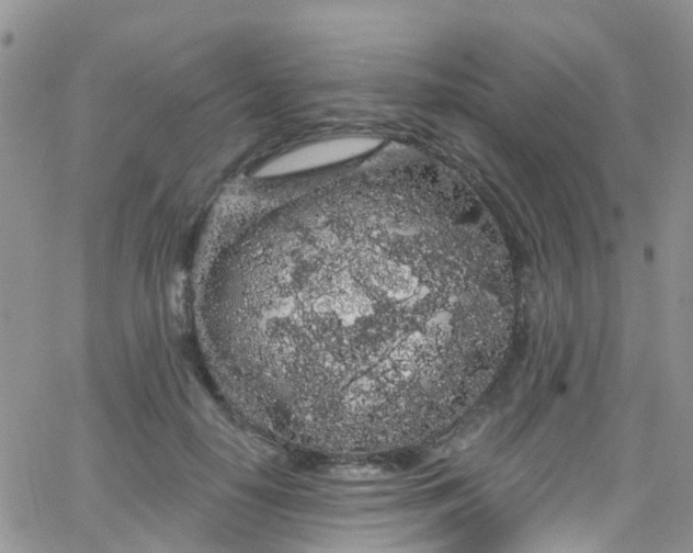 X0000066090650200603171056