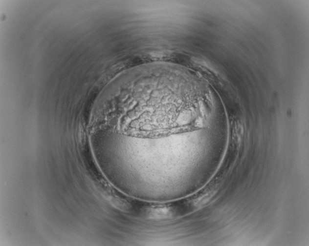 X0000066090651200603171056