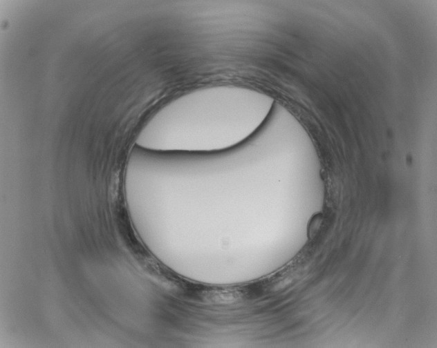 X0000066090652200603171056